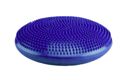 [PEL-PROP] PELOTA PROPIOCEPCIÓN